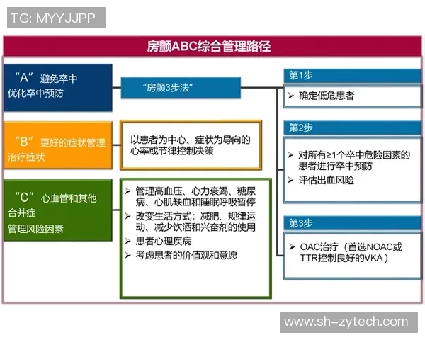 如何通过科学训练提升足球技能和比赛表现的全面指南